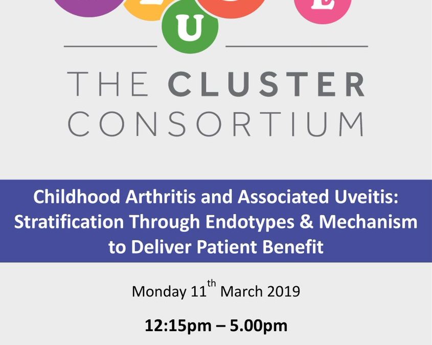 CLUSTER Public Launch Event